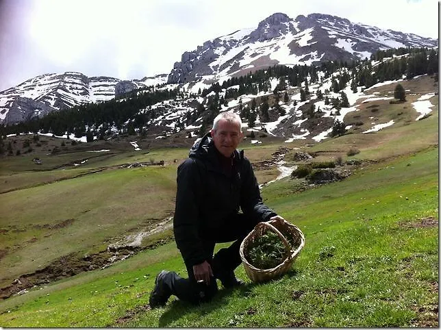 Moli De Bramasacs Toloríu